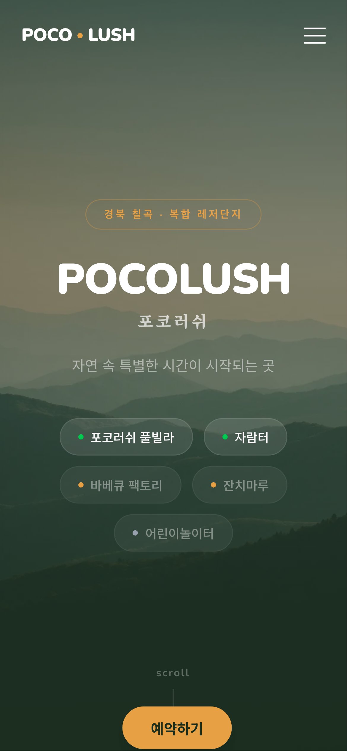 포코러쉬 홈페이지 모바일 실물